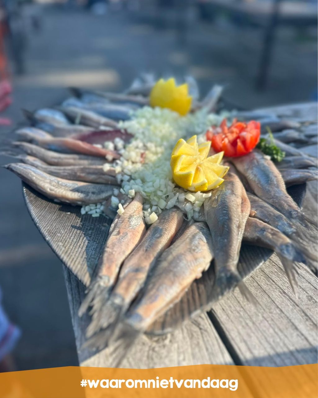 Instagram post from pellesdeurningen. This post is in position 9.